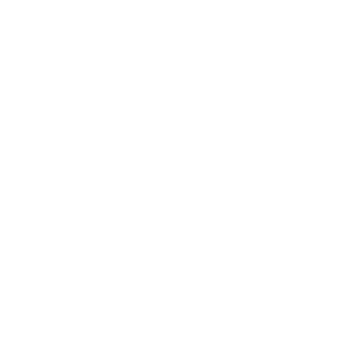 Bespoke Firmware & UI