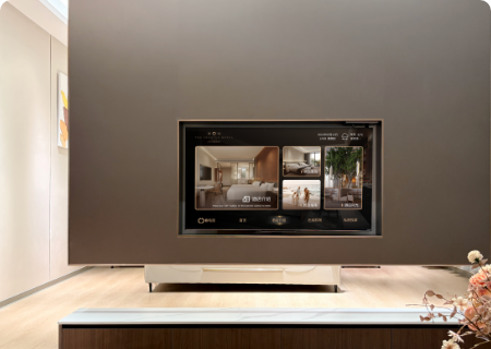 The Mysteries of the TV System Encoder